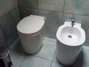 Let me introduce you to... the bidet.